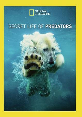National Geographic: Secret Life of Predators cover art
