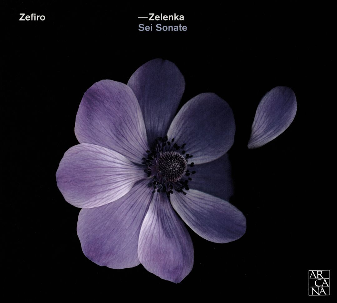 Zelenka: Sei Sonate, ZWV 181 cover art