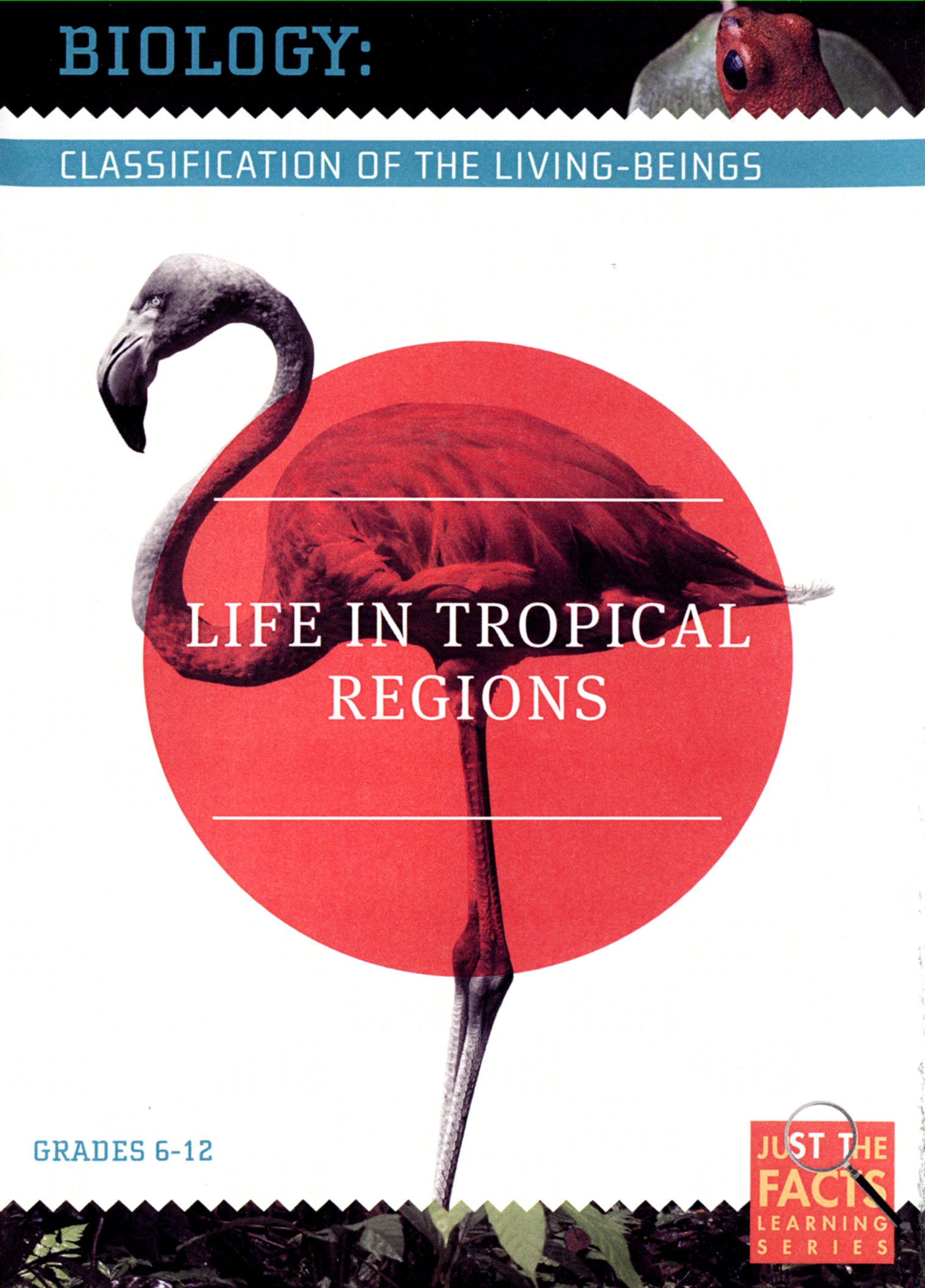 Biology Classification: Life in Tropical Regions cover art
