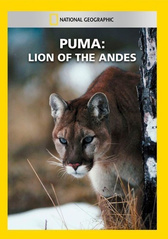 Puma: Lion of the Andes cover art