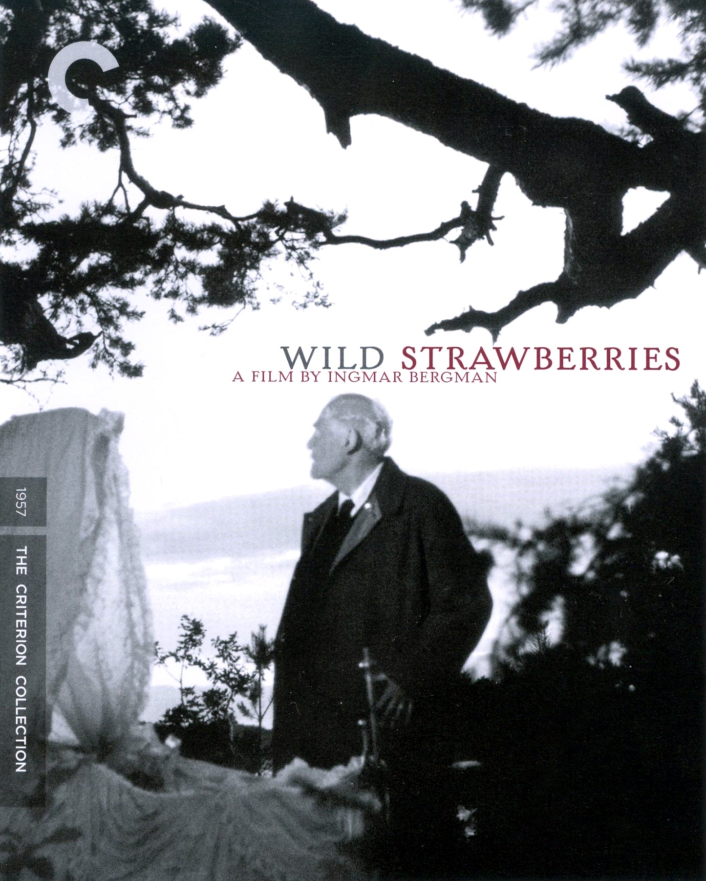 WILD STRAWBERRIES cover art