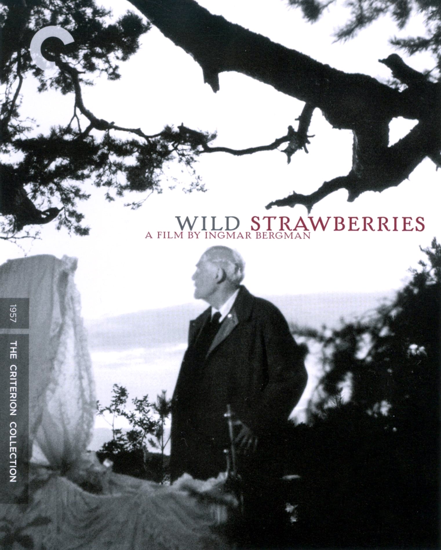 WILD STRAWBERRIES cover art