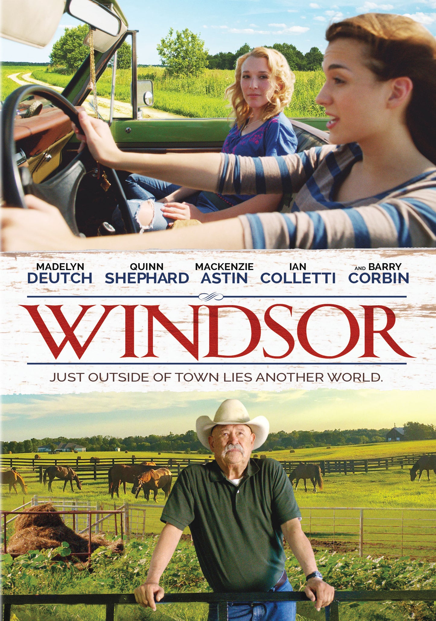 Windsor cover art