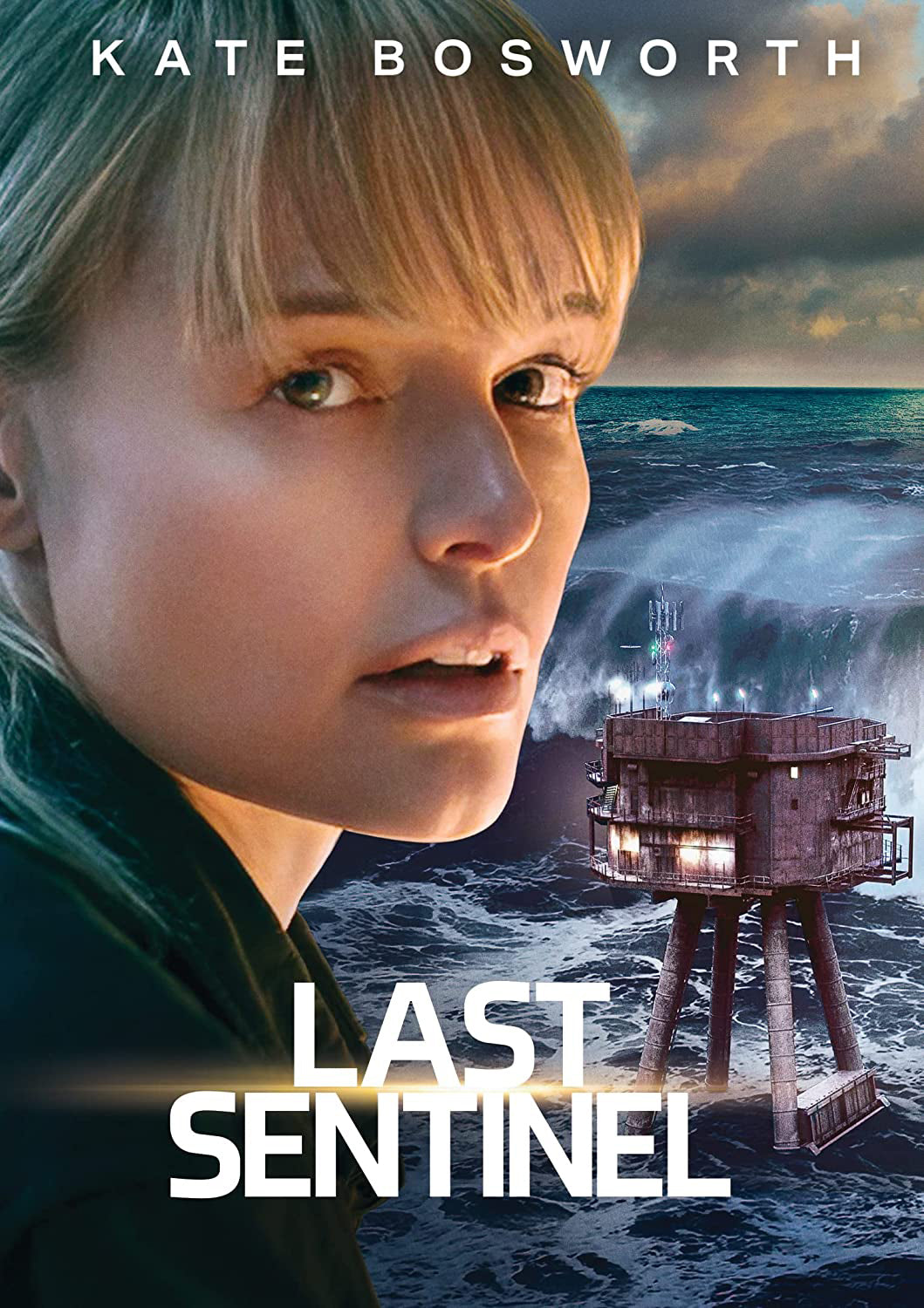 Last Sentinel cover art