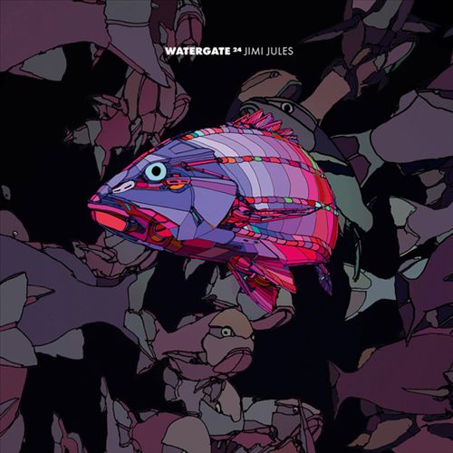 Watergate 24 cover art