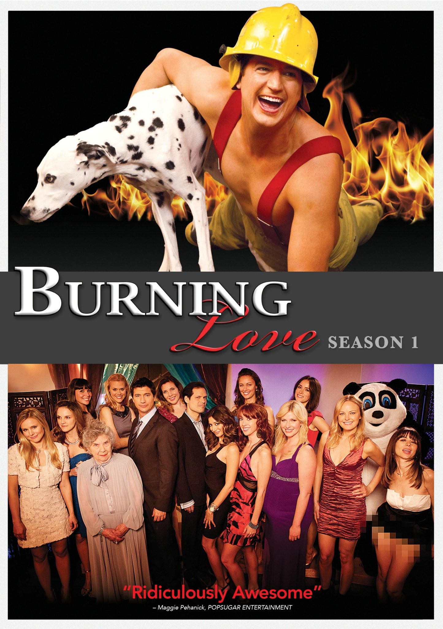 Burning Love: The Complete First Season cover art
