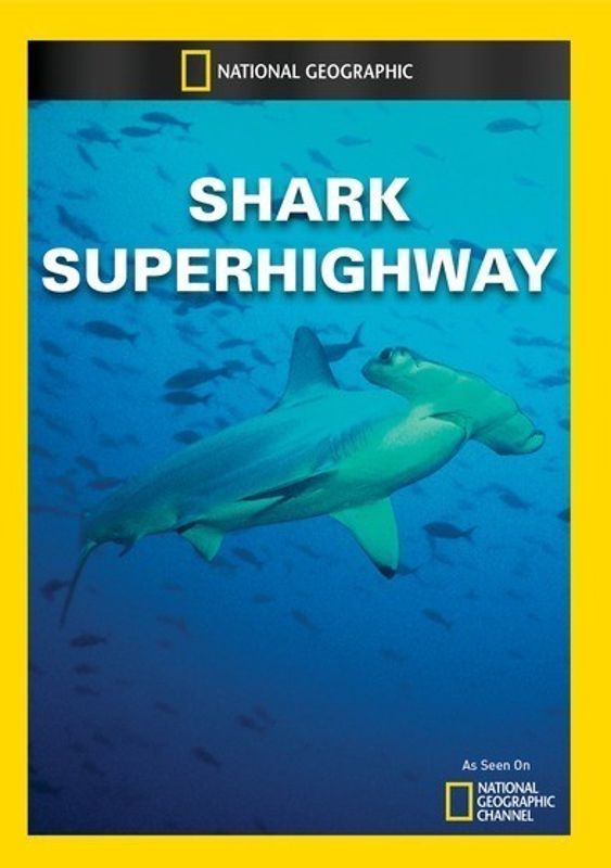 Shark Superhighway cover art
