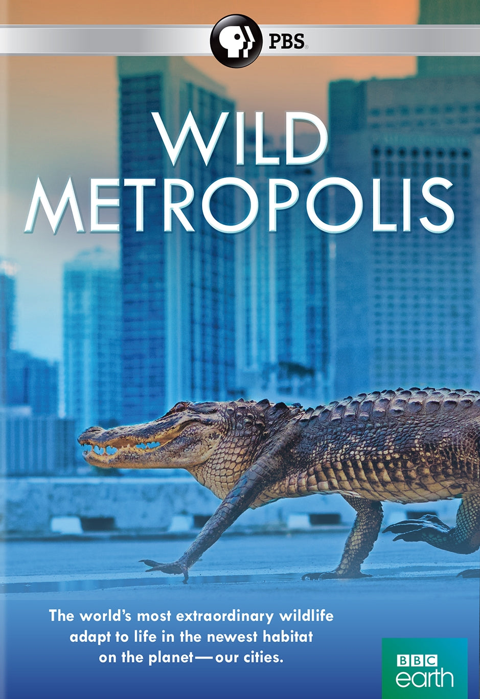 Wild Metropolis cover art