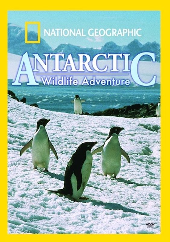 National Geographic: Antarctic Wildlife Adventure cover art