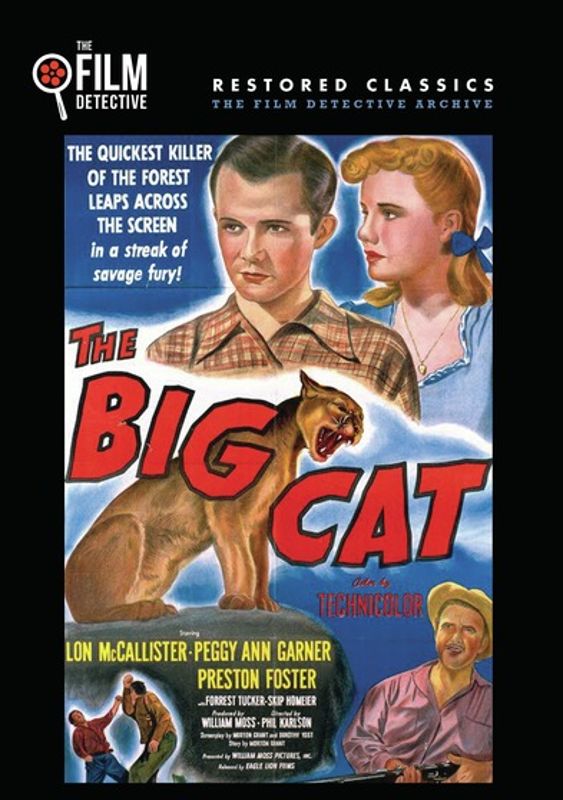 Big Cat cover art