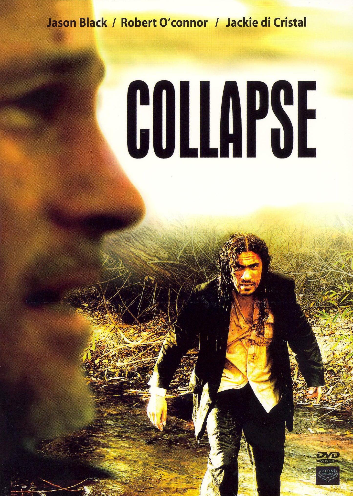 Collapse cover art