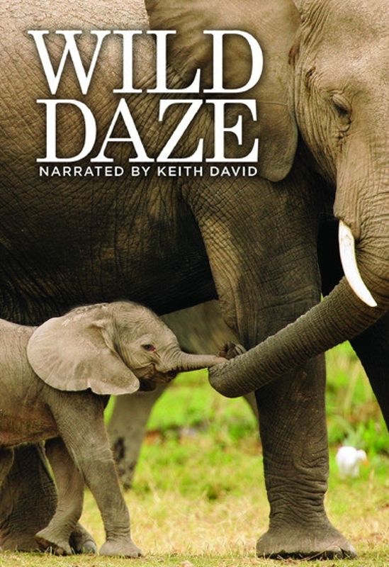 Wild Daze cover art