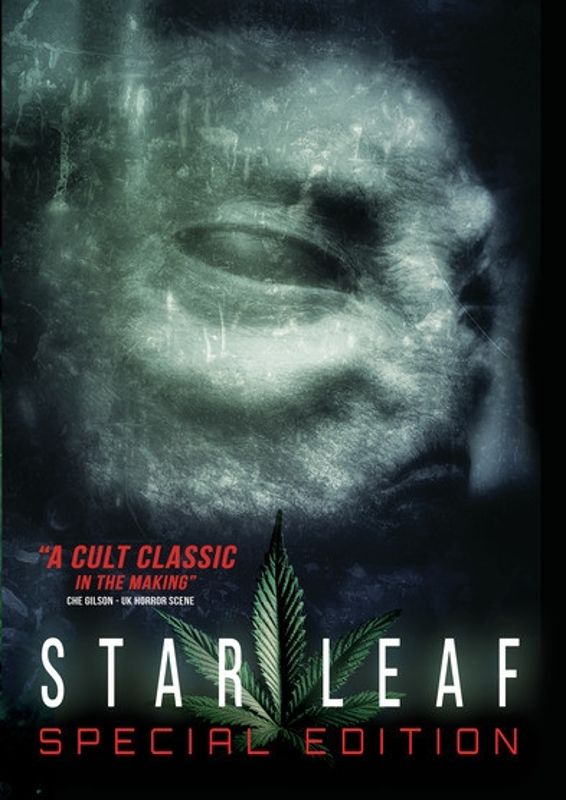 Star Leaf cover art