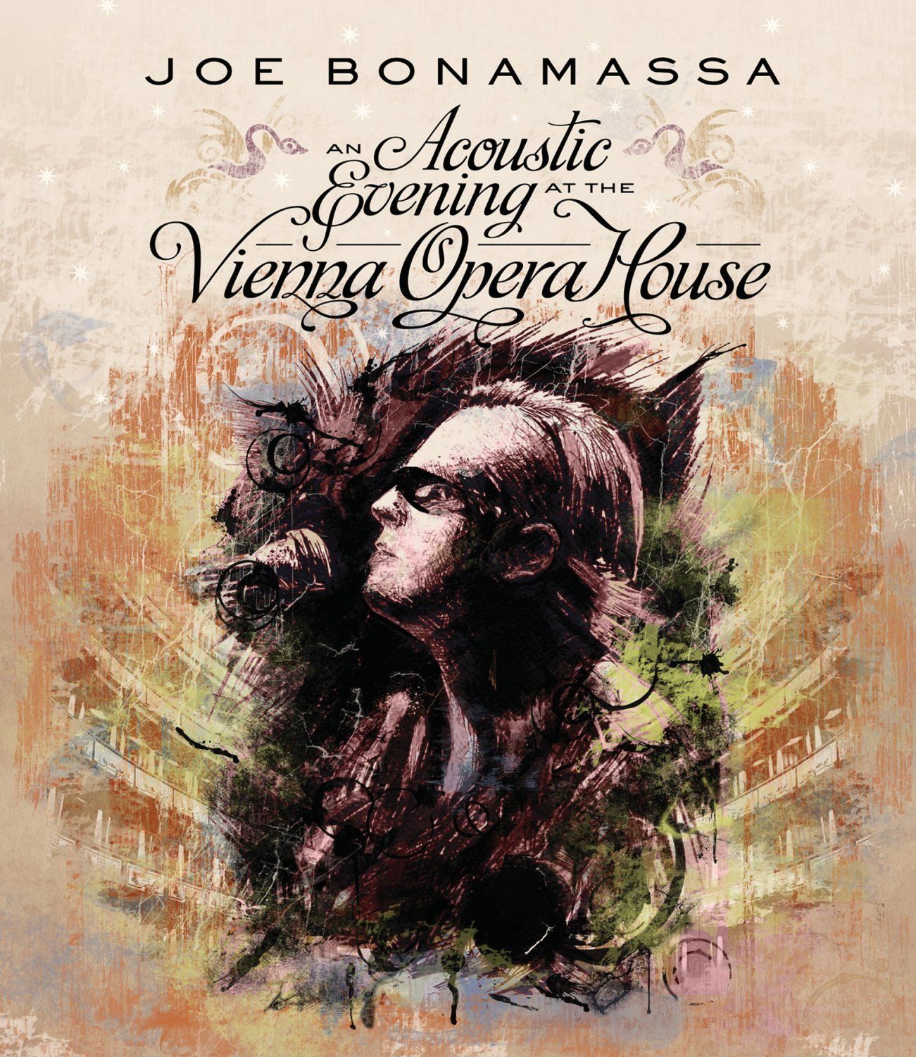 An Acoustic Evening at the Vienna Opera House [DVD] cover art