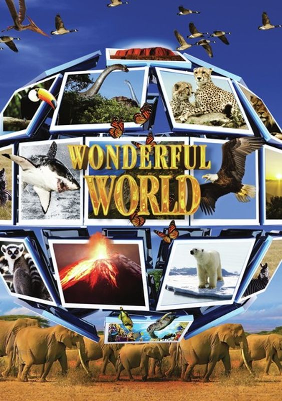 Wonderful World cover art