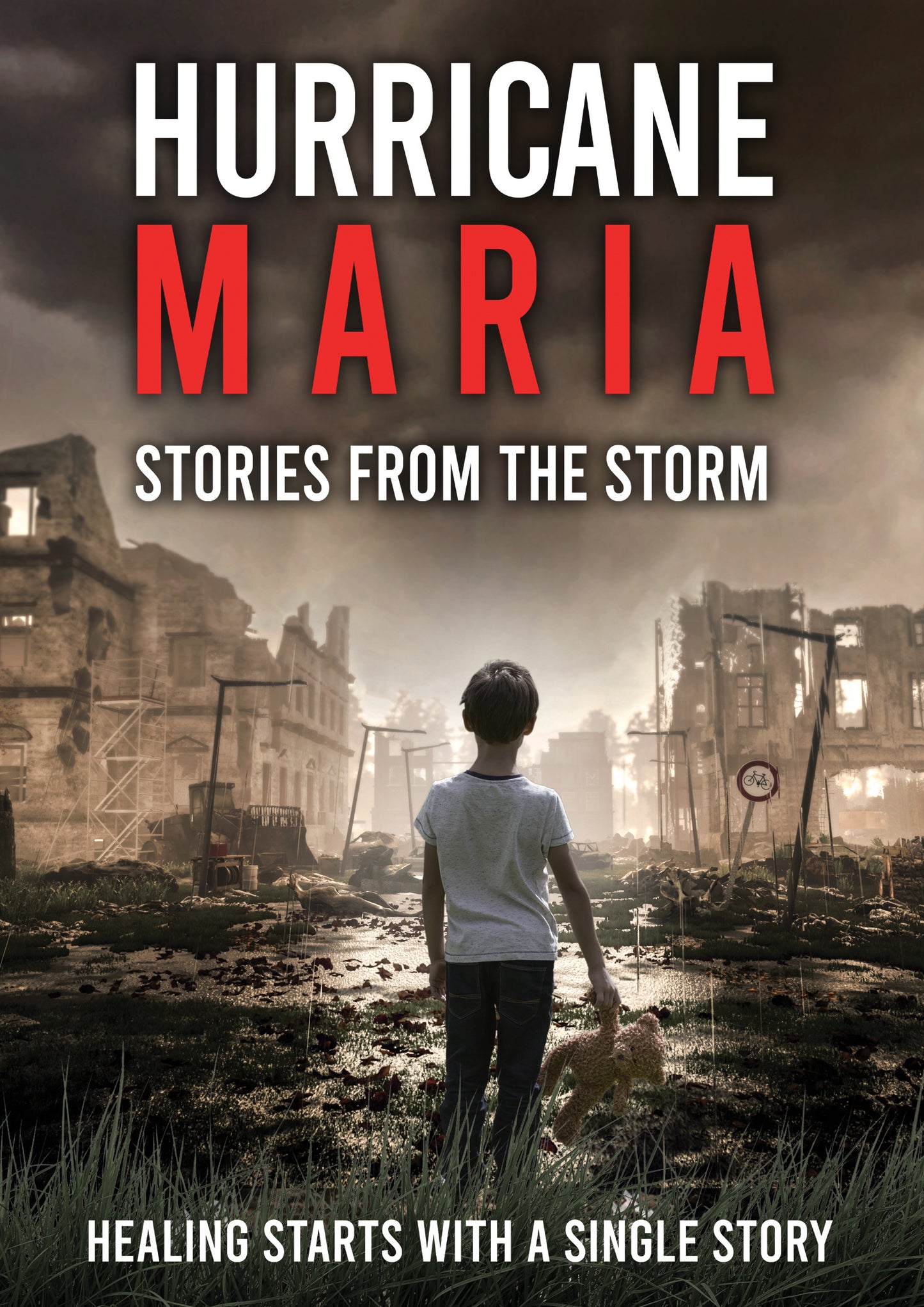 HURRICANE MARIA: STORIES FROM THE STORM cover art