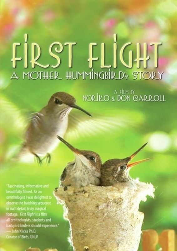 First Flight: A Mother Hummingbird's Story cover art