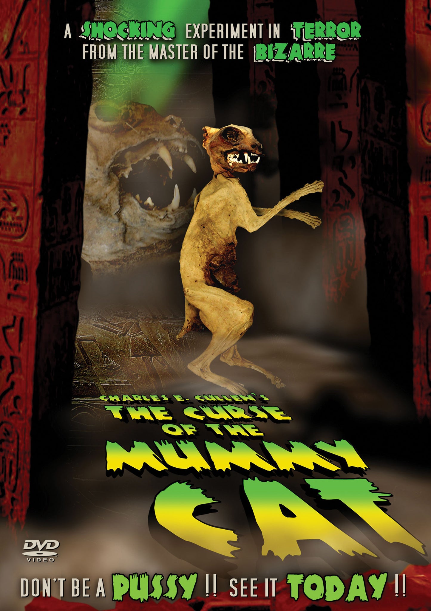 Curse Of The Mummy Cat The cover art