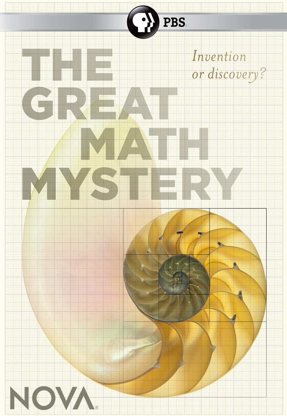NOVA: The Great Math Mystery cover art