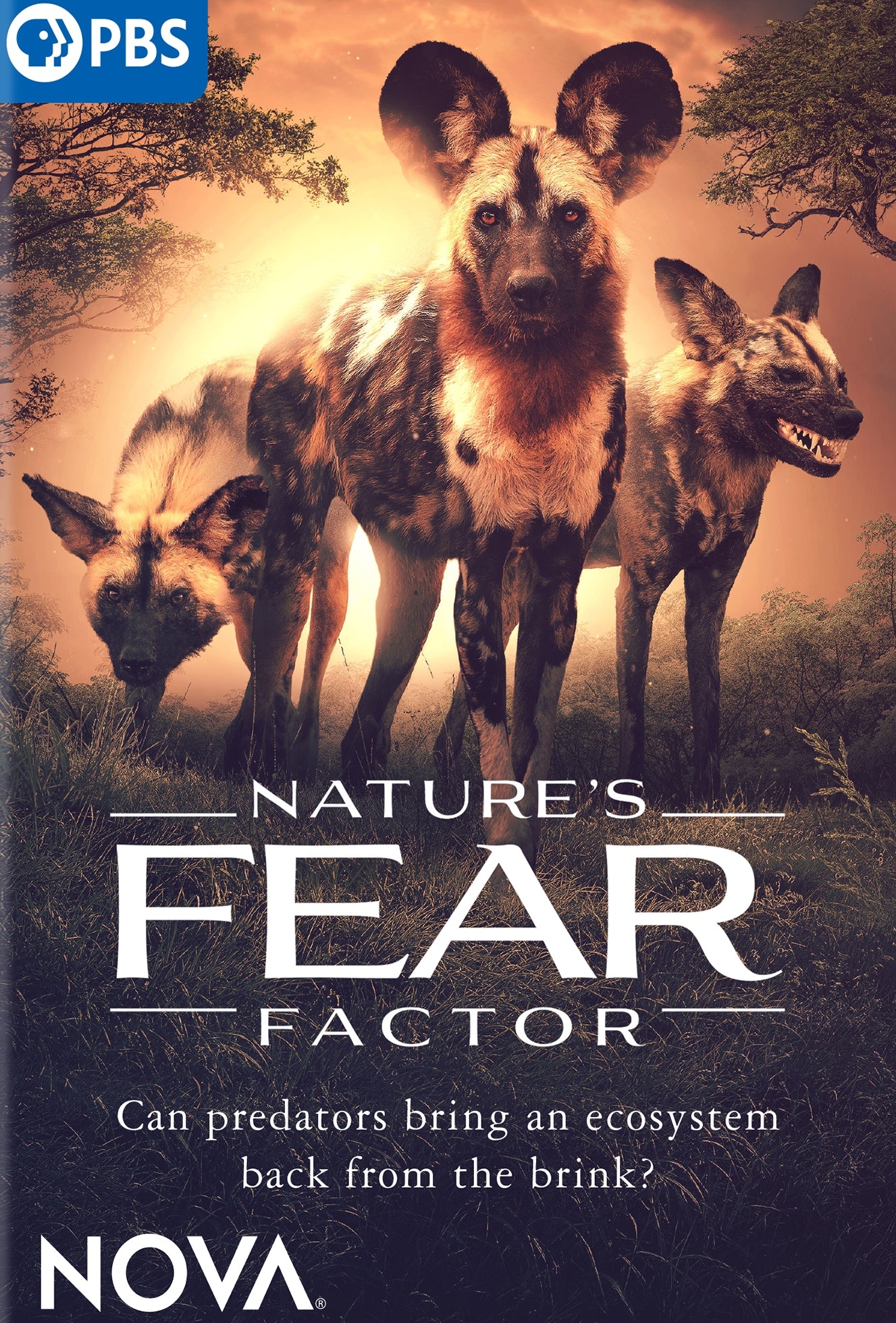 NOVA: Nature's Fear Factor cover art