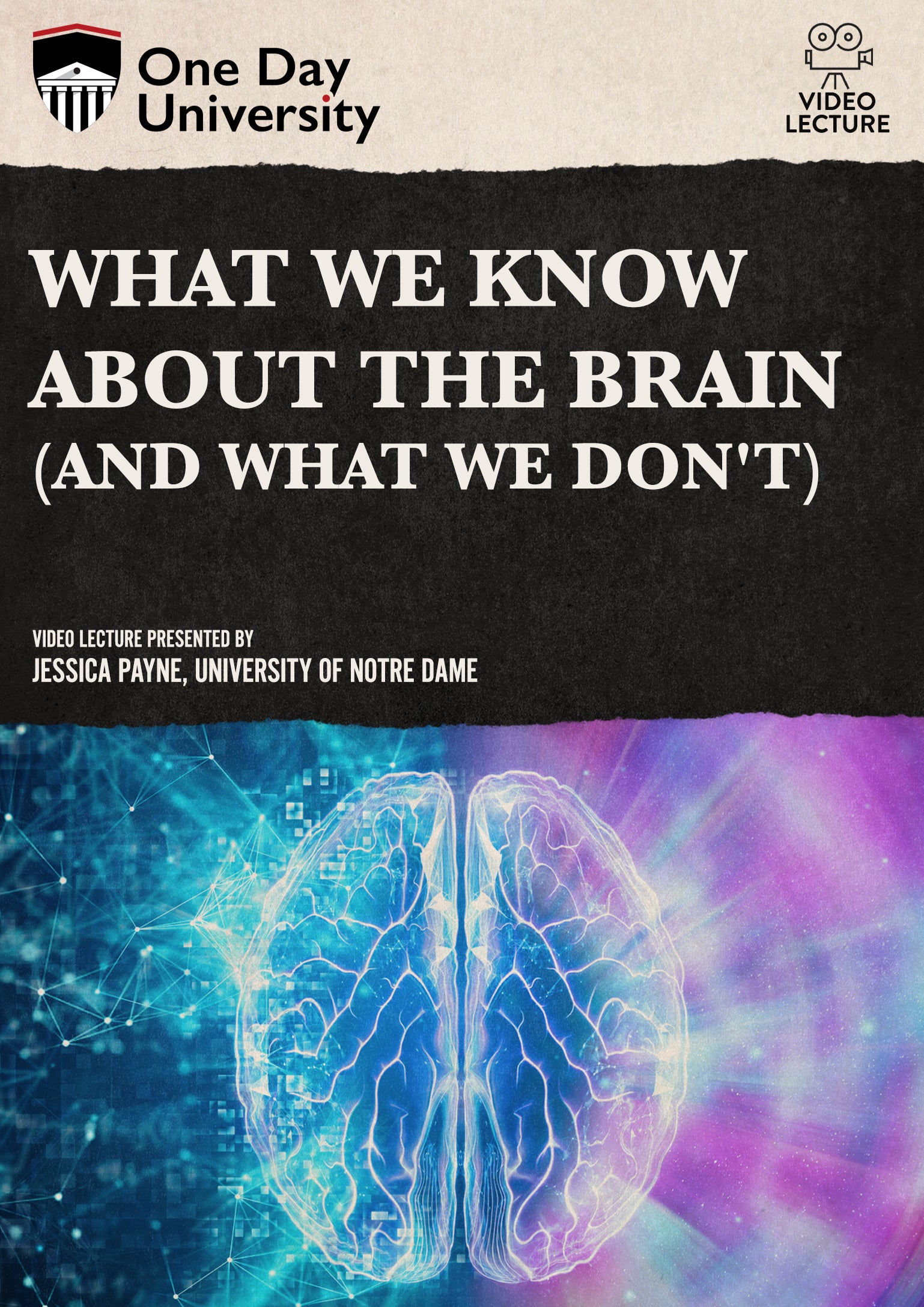 What We Know About the Brain (And What We Don't) cover art