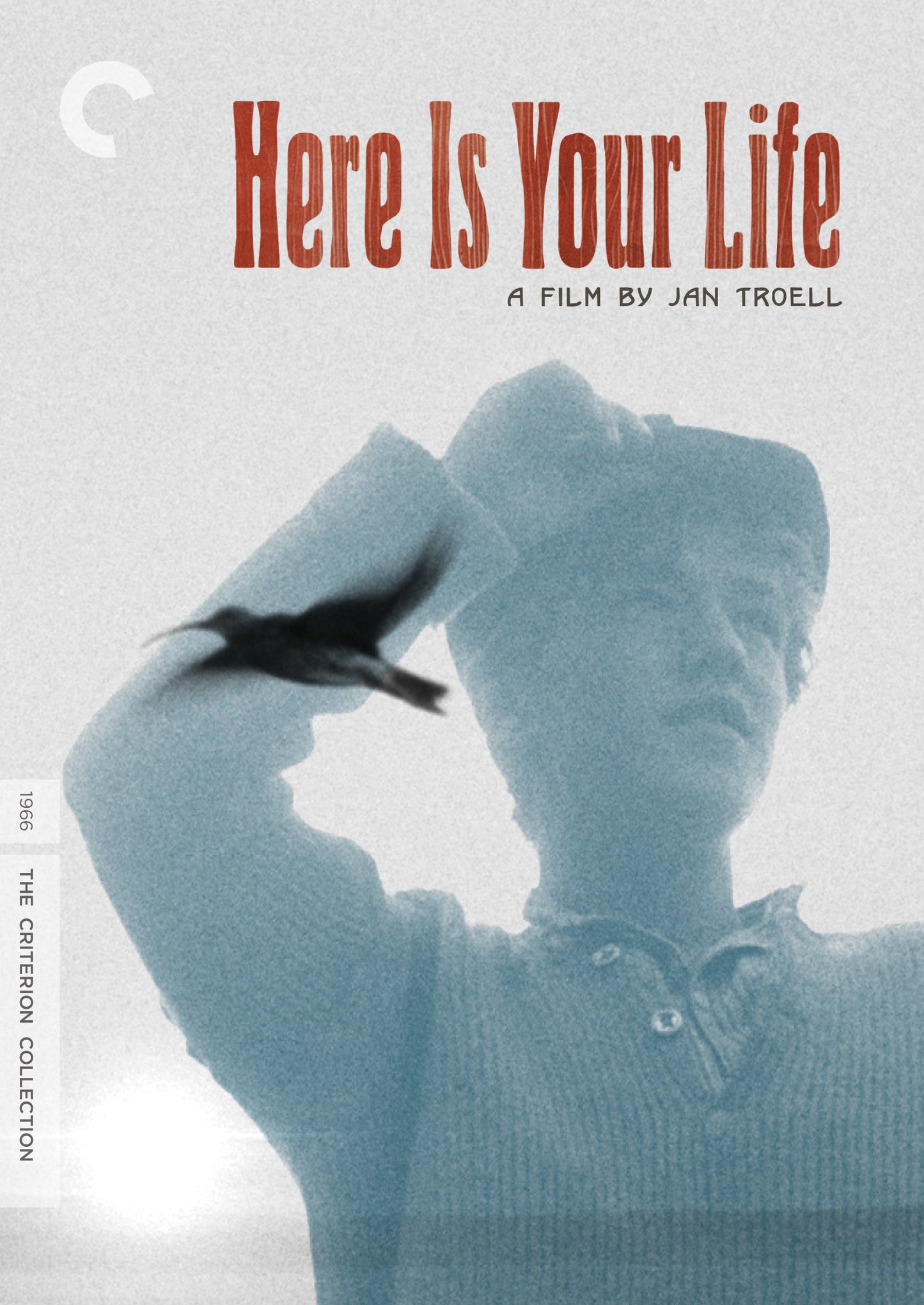 Here Is Your Life [Criterion Collection] [2 Discs] cover art