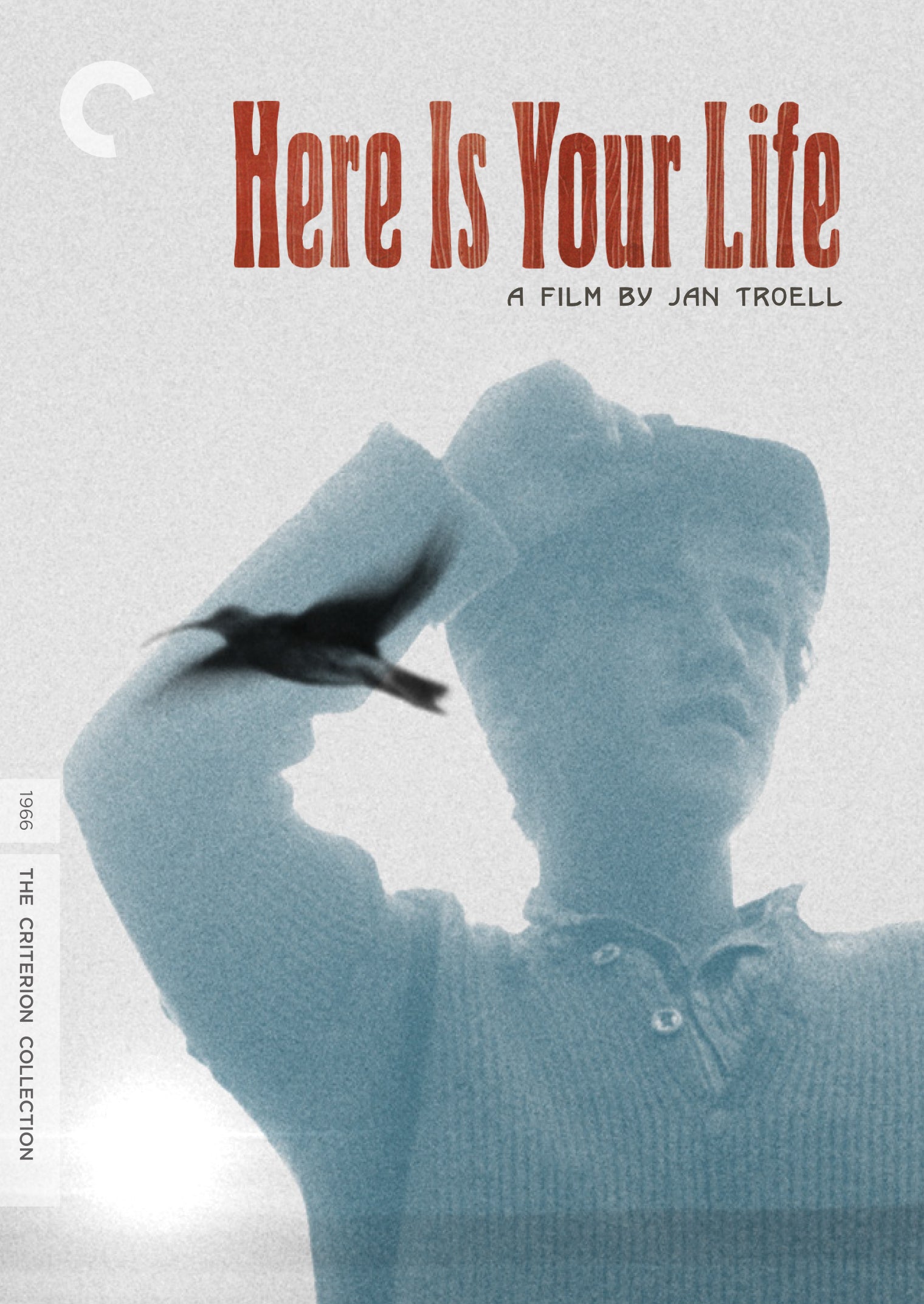 Here Is Your Life [Criterion Collection] [2 Discs] cover art