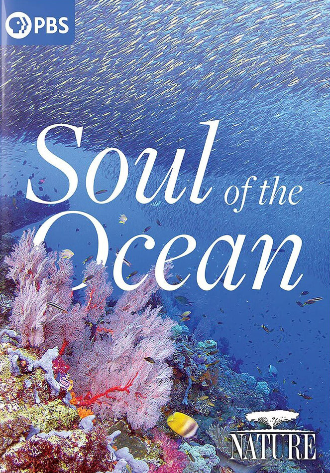 Nature: Soul of the Ocean cover art