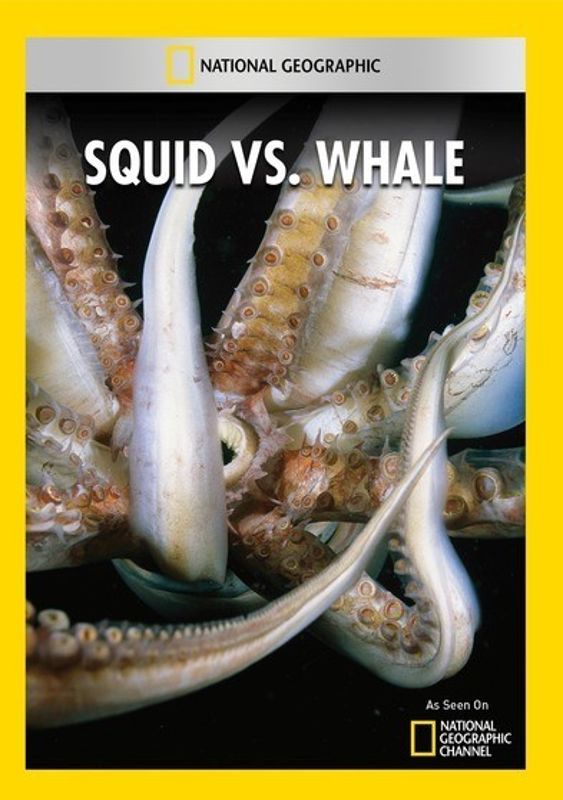 Squid vs. Whale cover art