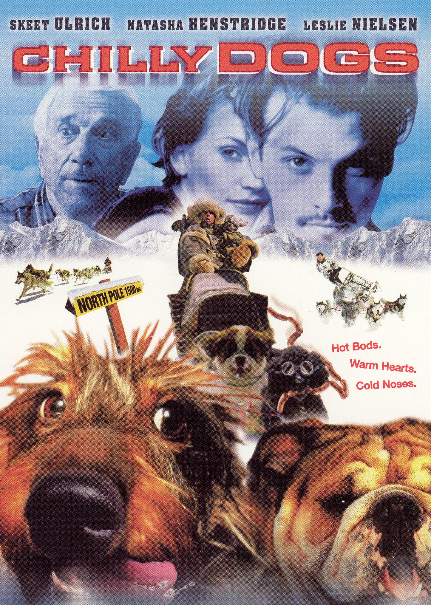 Chilly Dogs cover art