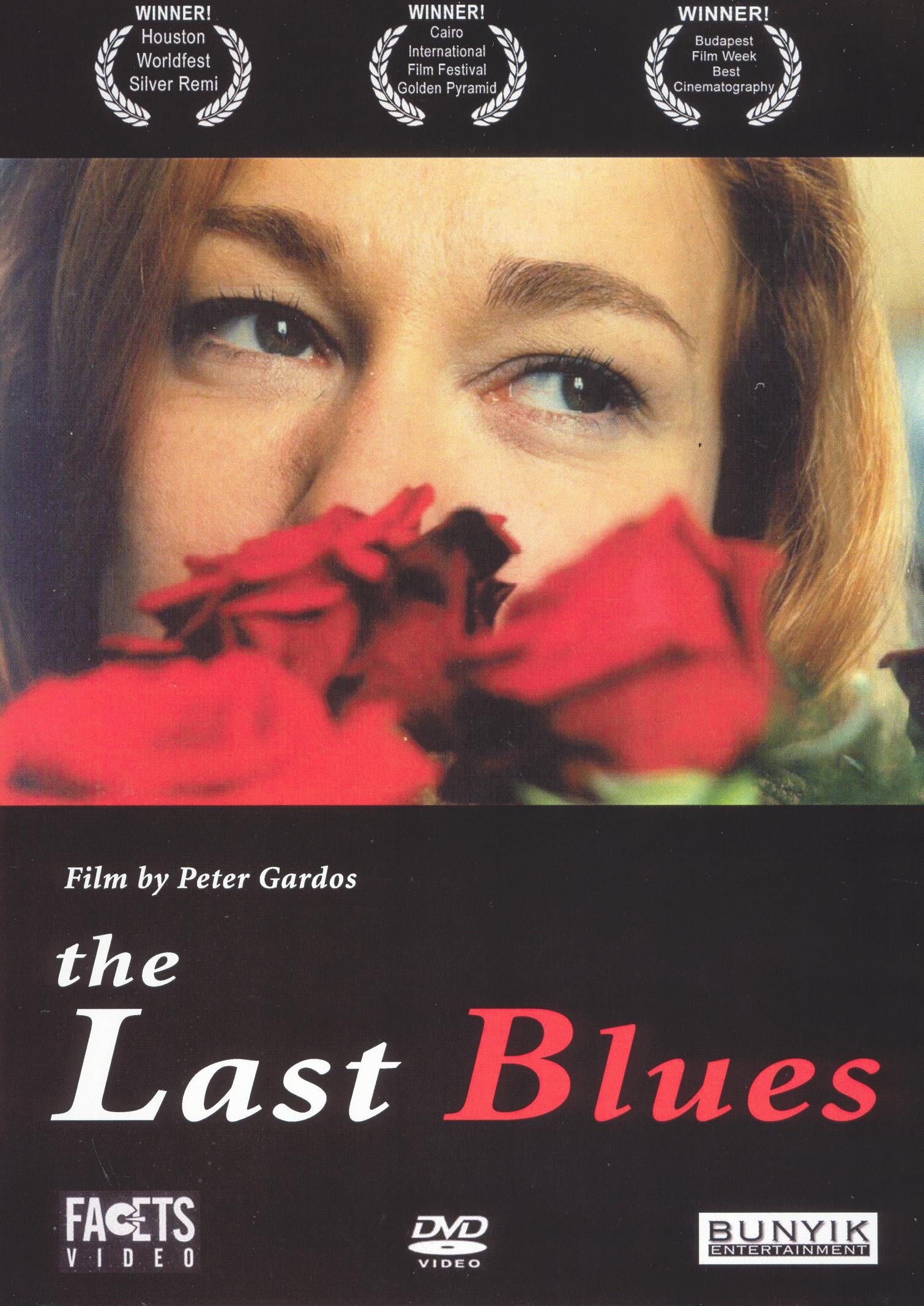 Last Blues [WS] cover art