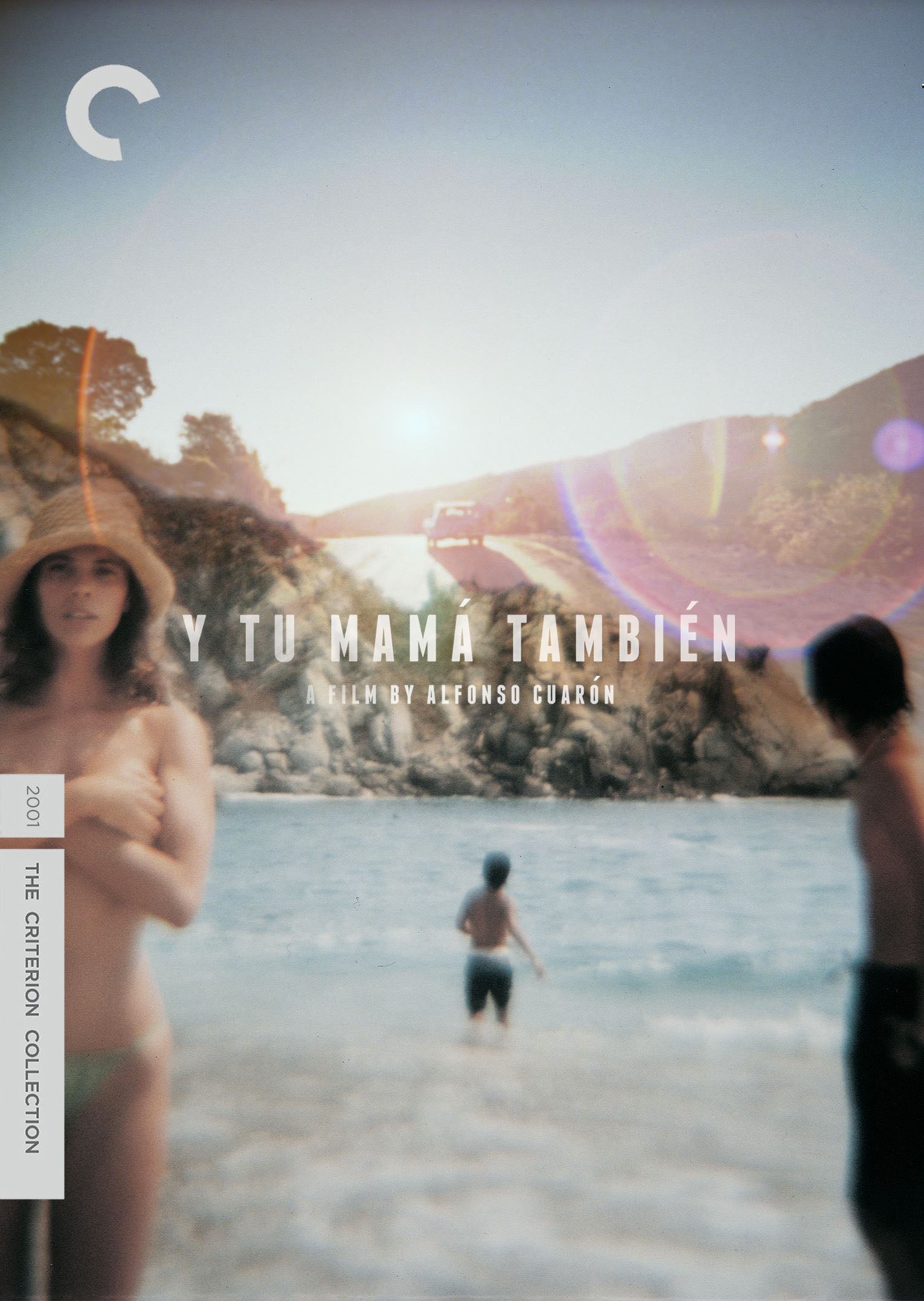 Y Tu Mama Tambien [Criterion Collection] cover art