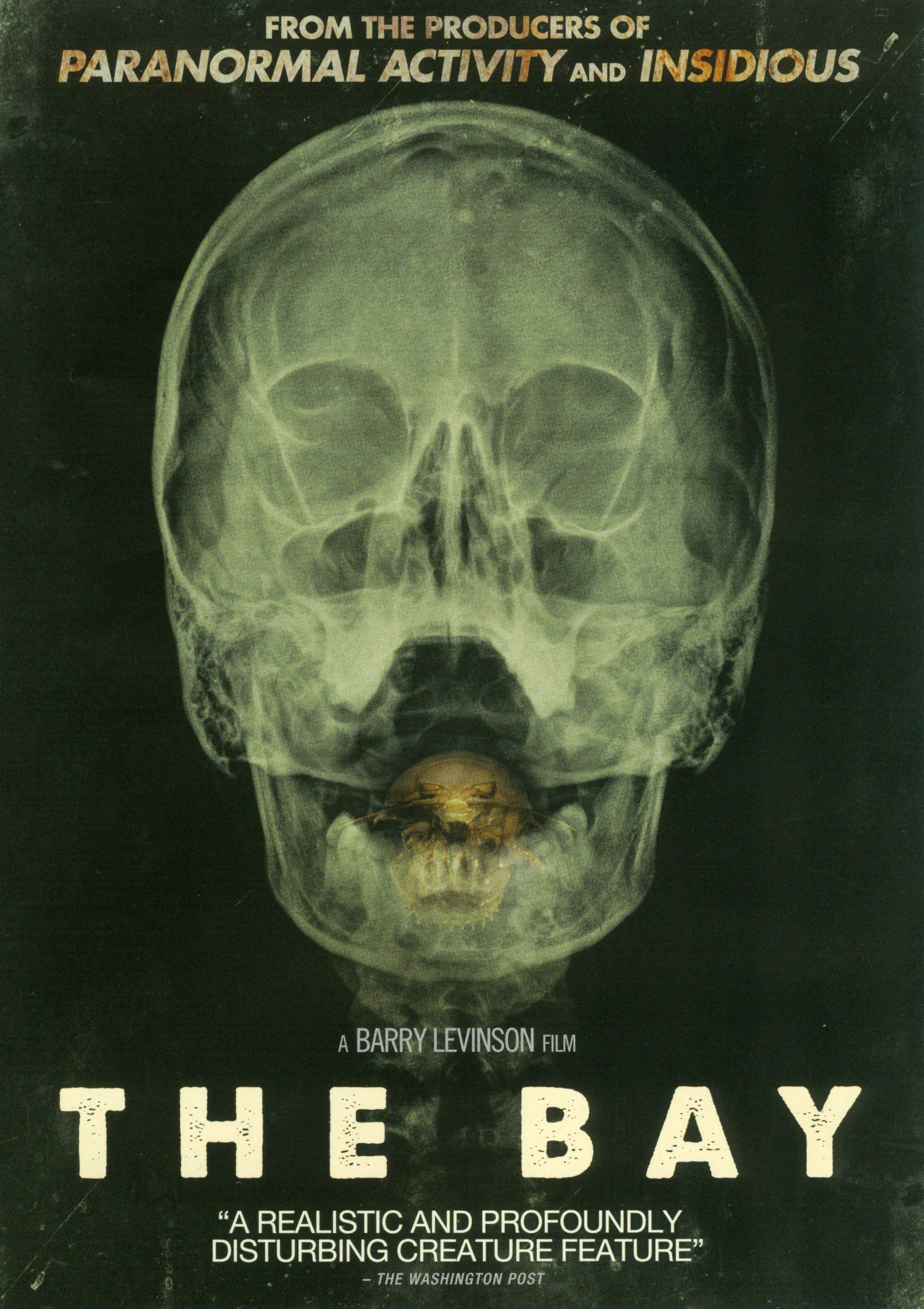 Bay cover art