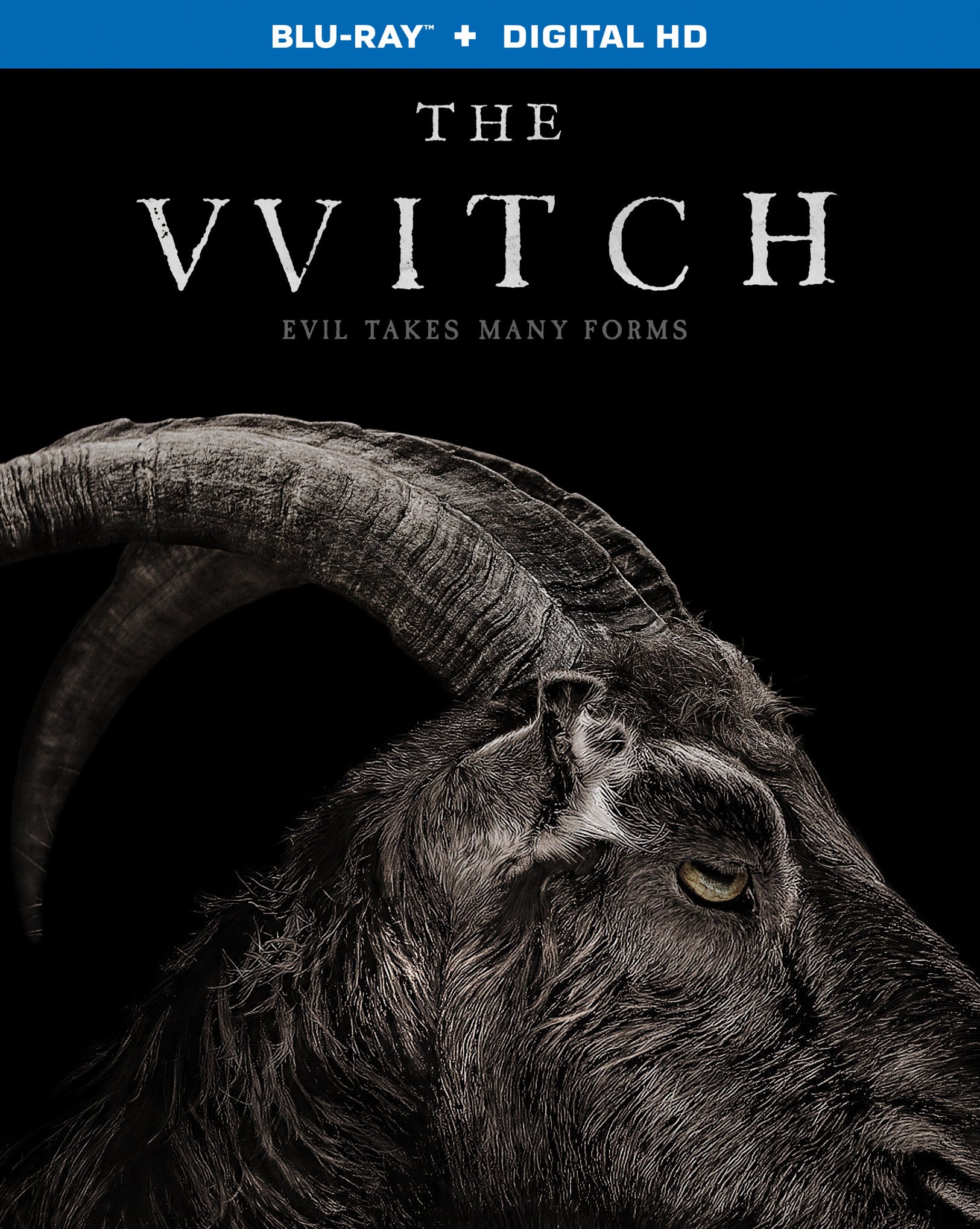 Witch [Includes Digital Copy] [Blu-ray] cover art