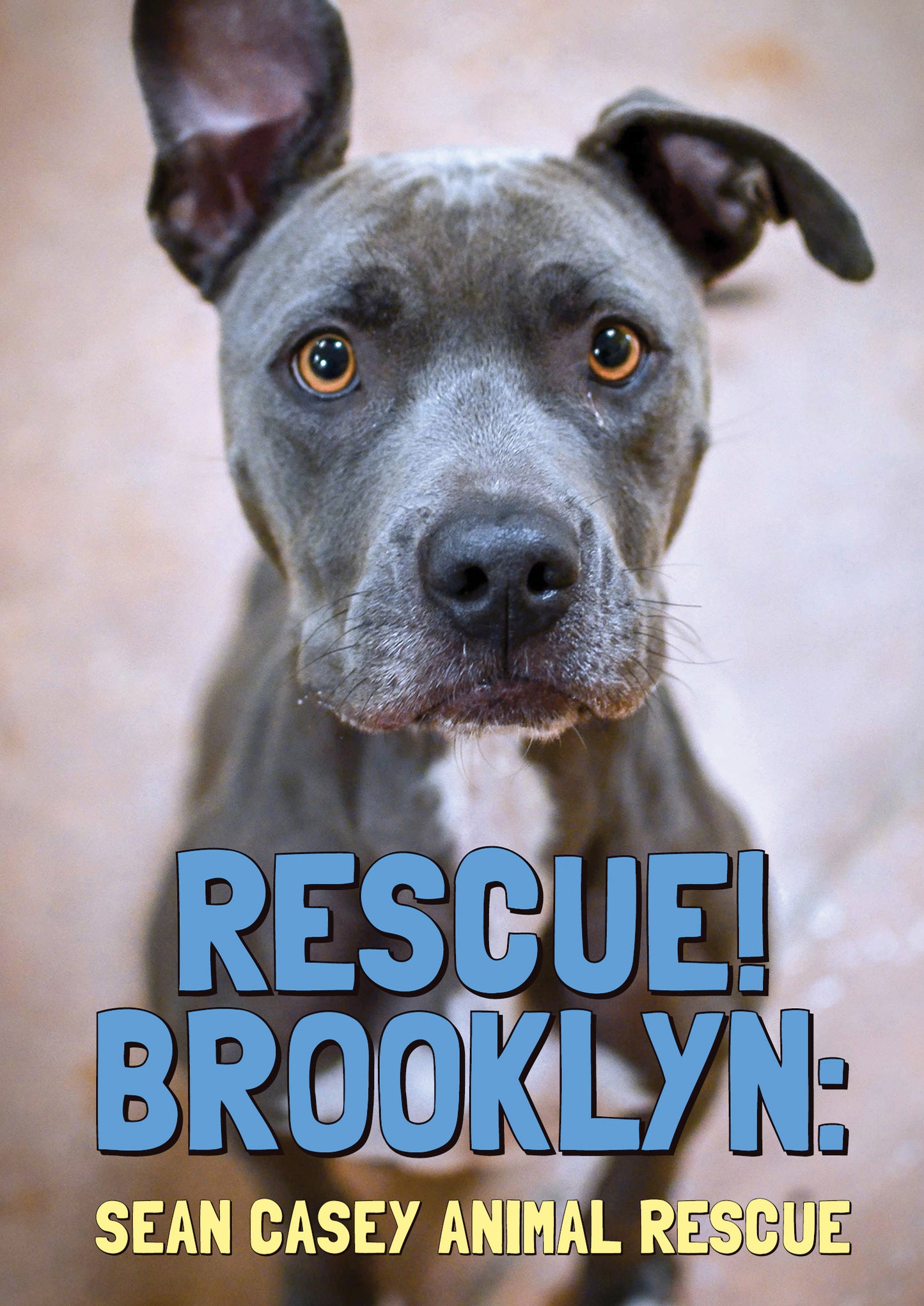 Rescue! Brooklyn cover art