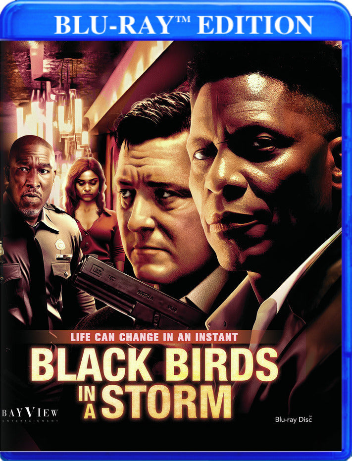 Black Birds in a Storm cover art