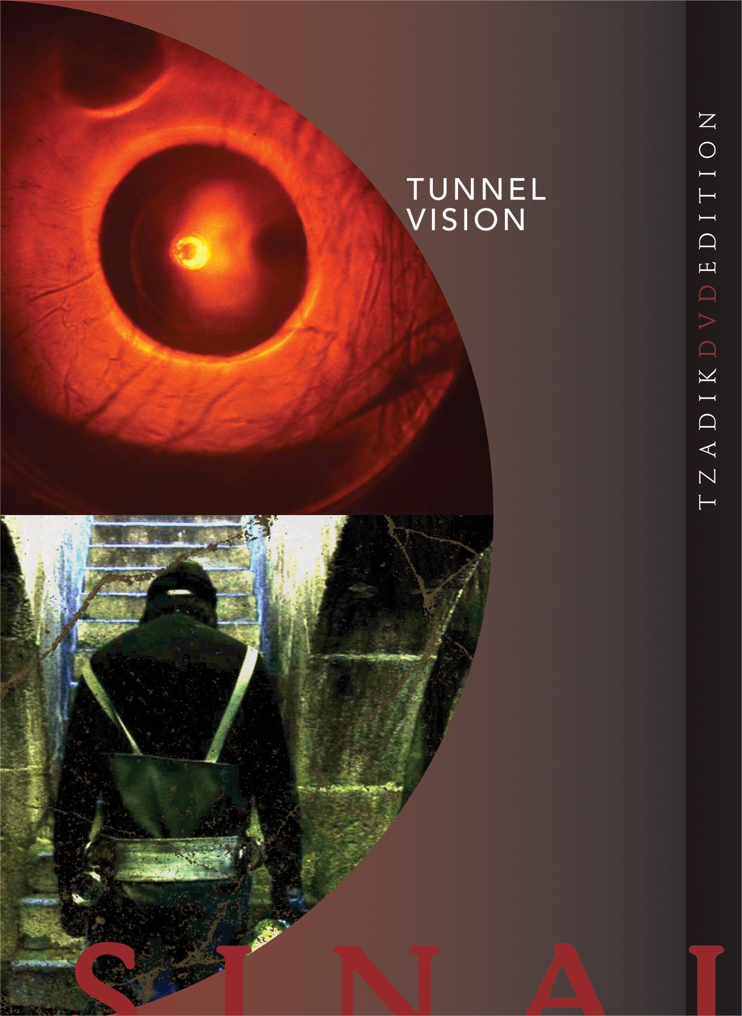 TUNNEL VISION [DVD VIDEO]-RAZ MESINAI cover art