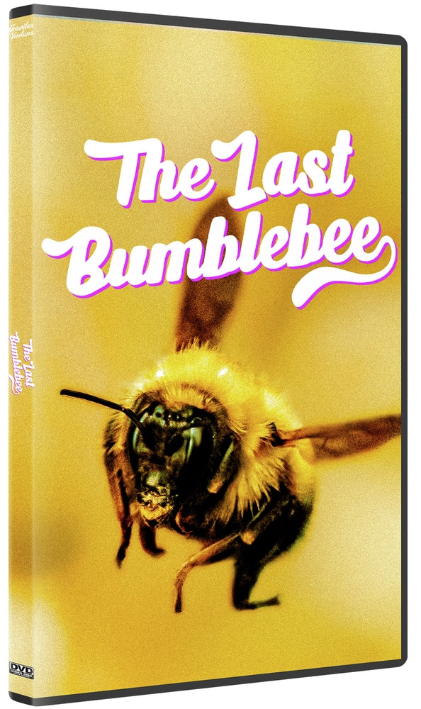 Last Bumblebee cover art