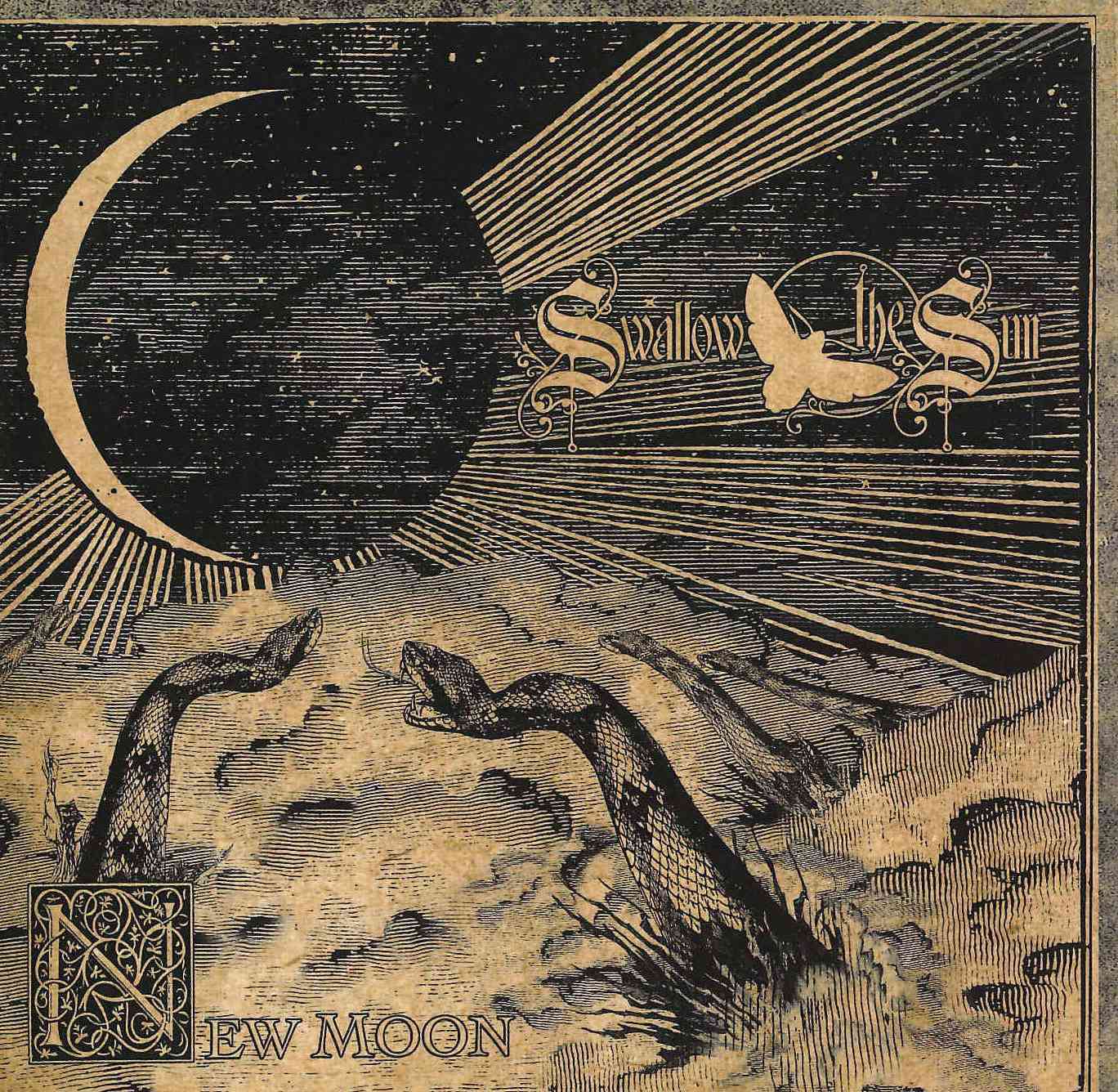 NEW MOON cover art