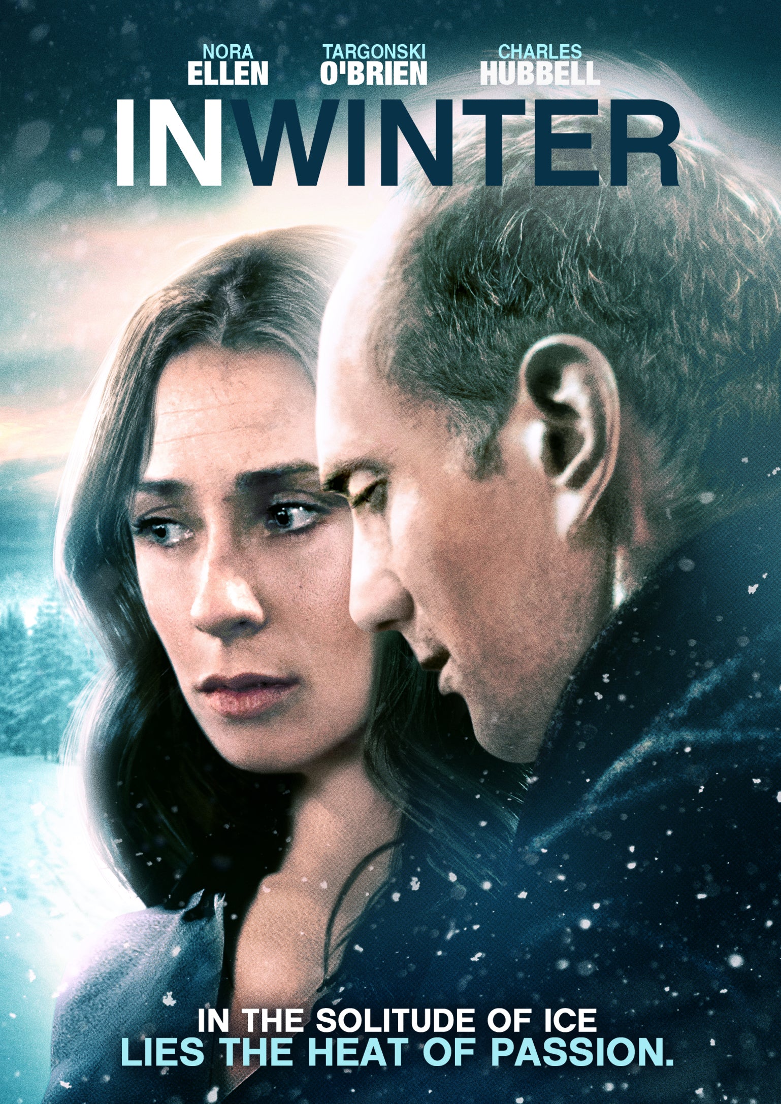 In Winter cover art