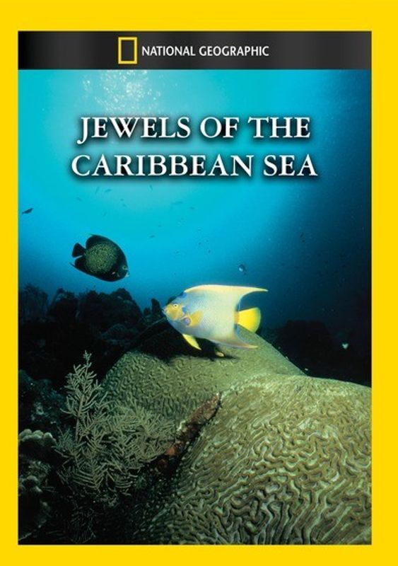 National Geographic: Jewels of the Caribbean Sea cover art