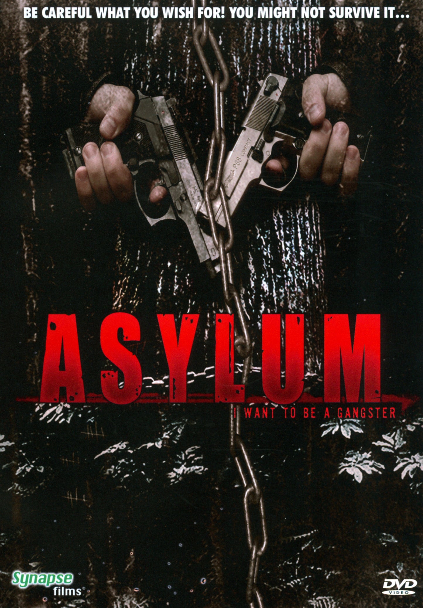 Asylum cover art