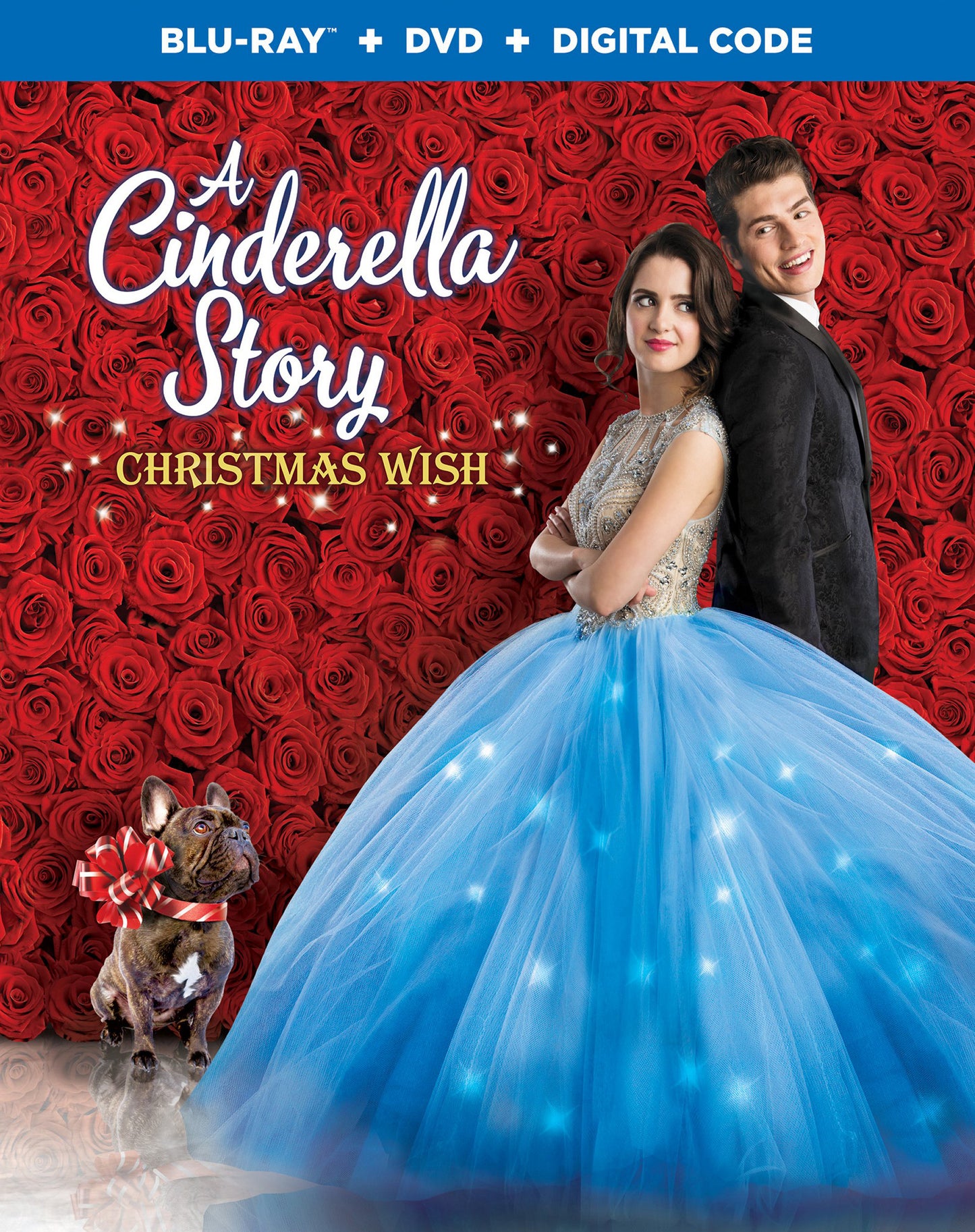 Cinderella Story: Christmas Wish [Includes Digital Copy] [Blu-ray/DVD] cover art