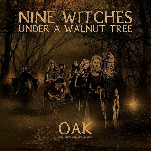 Nine Witches Under a Walnut Tree cover art