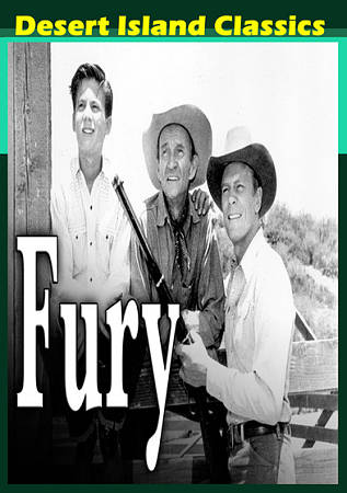 Fury cover art