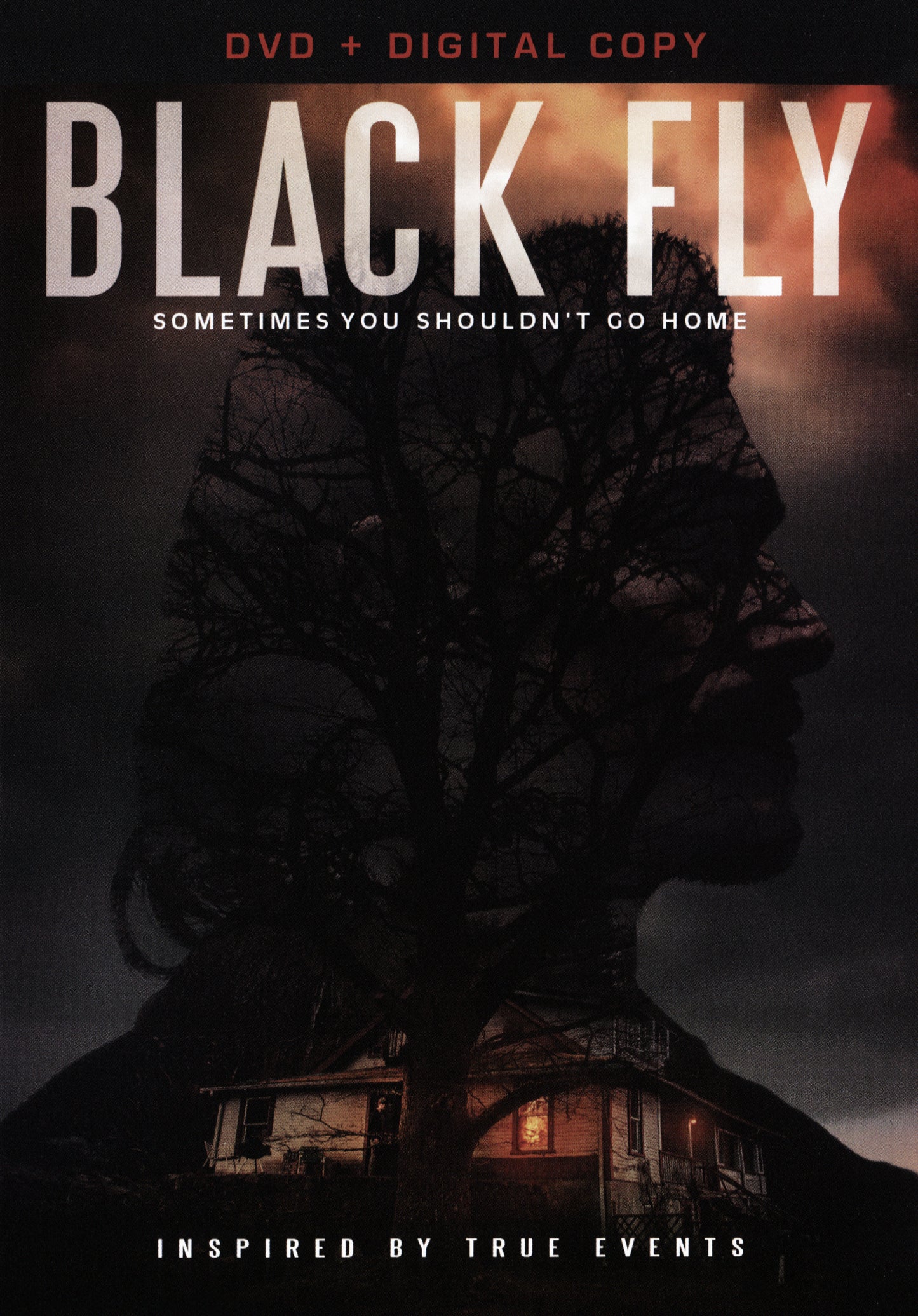 Black Fly (USA Import) cover art