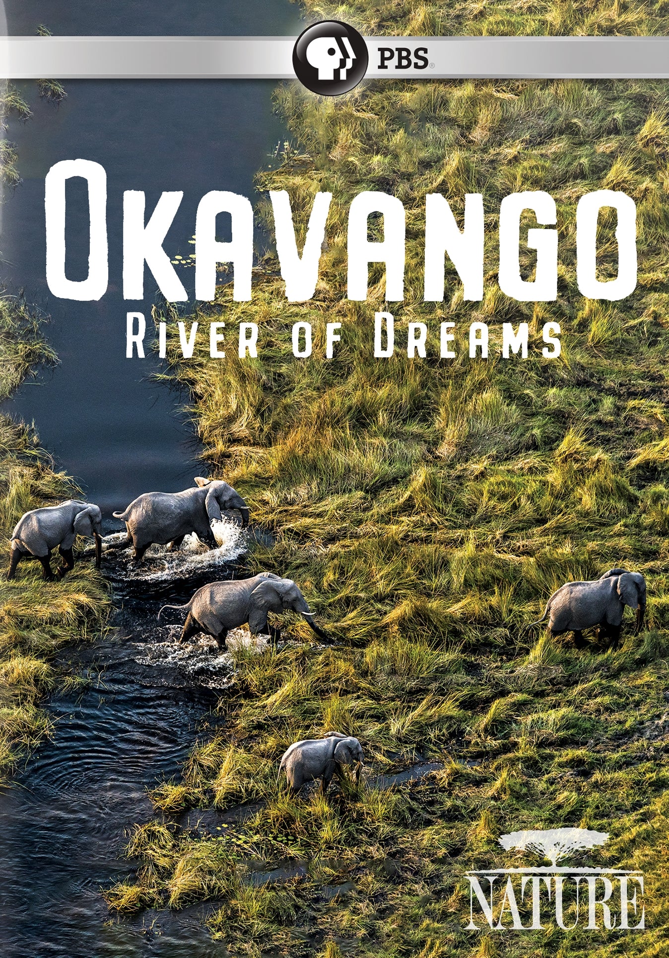 Nature: Okavango - River of Dreams cover art