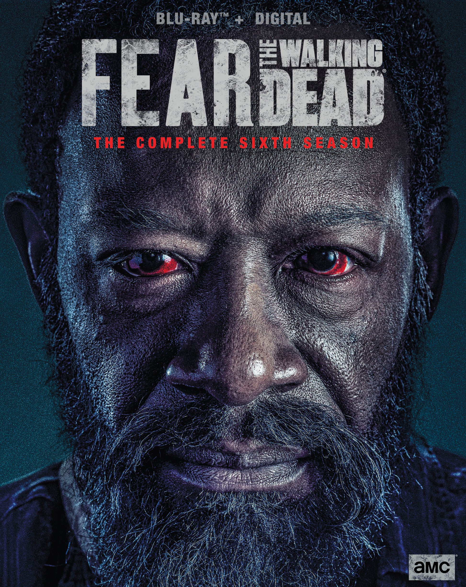 Fear the Walking Dead: Season 6 [Includes Digital Copy] [Blu-ray] cover art