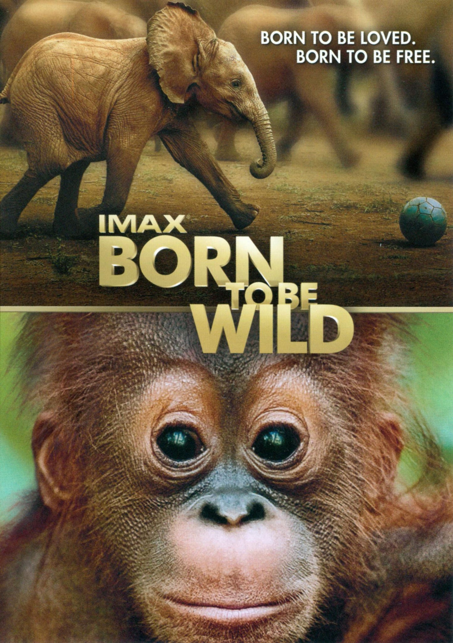 Born to Be Wild [Includes Digital Copy] cover art