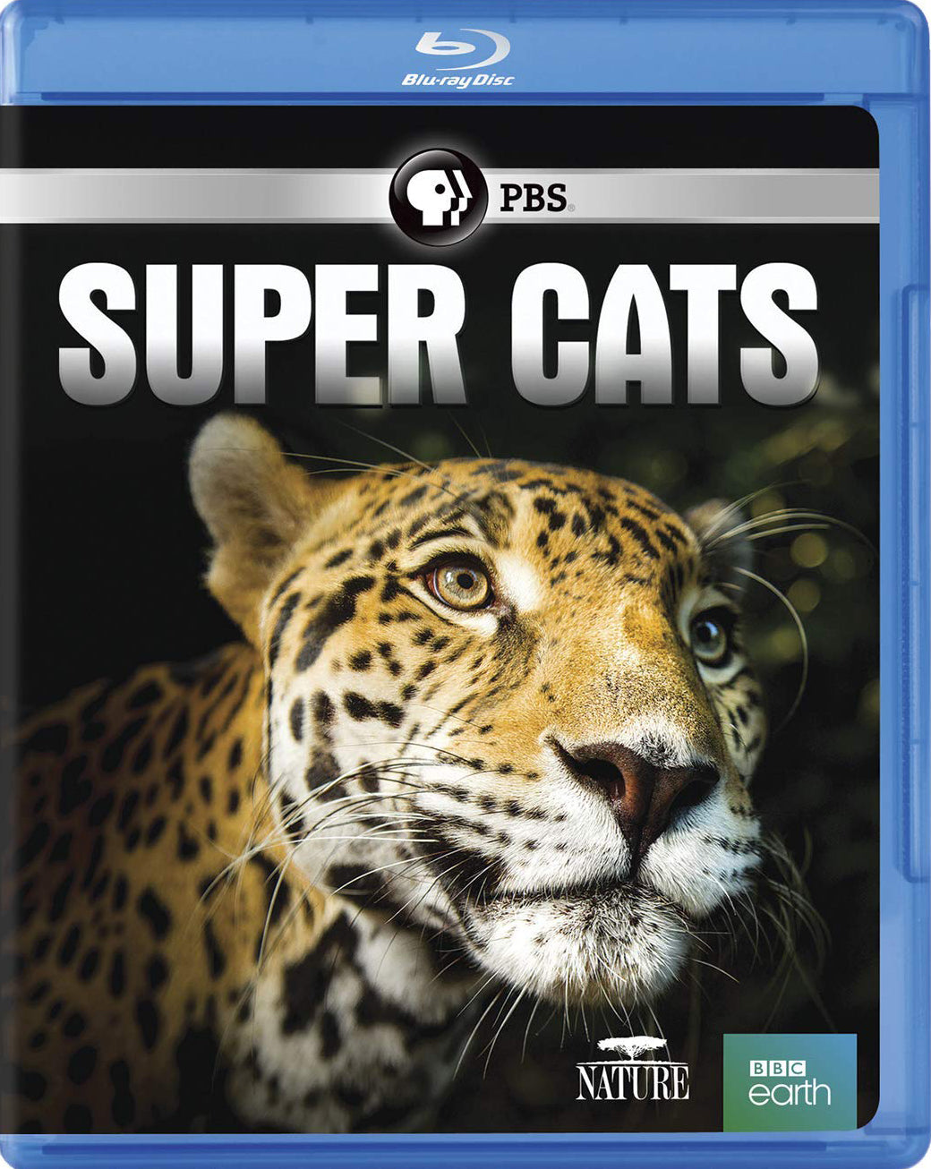 Nature: Super Cats [Blu-ray] cover art